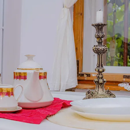 Apartment Majestic Heritage Timisoara